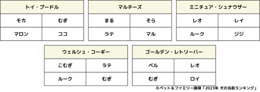 ペットニュースストレージ「2023年 犬の名前ランキング」を発表。2022年にペット保険に新規加入した0歳の犬の名前を大調査！のサブ画像3