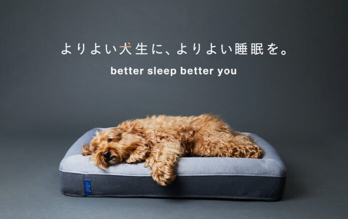 グーグースリープ｜日本最大級のペットイベント「インターペット2023」に犬用ベッド ”guguドギー” が出展のメイン画像