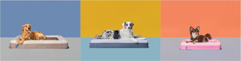 グーグースリープ｜日本最大級のペットイベント「インターペット2023」に犬用ベッド ”guguドギー” が出展のサブ画像2