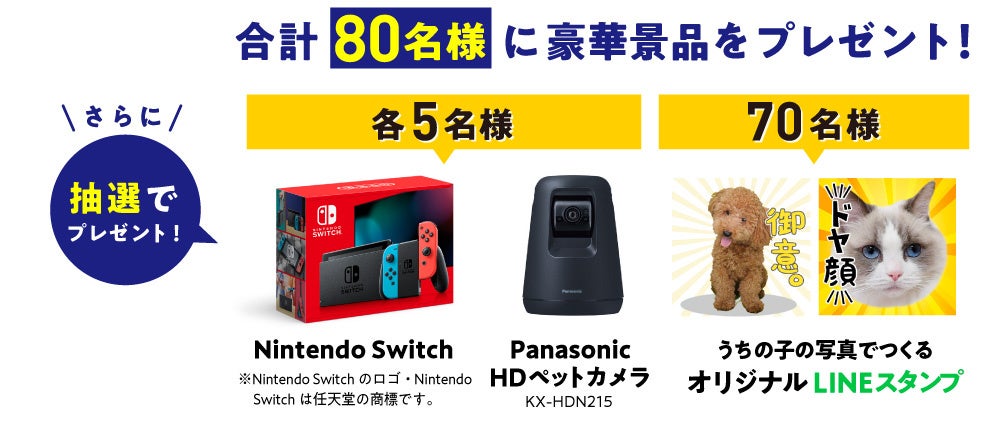 「ペット保険 保有契約件数80万件突破キャンペーン」開始！のサブ画像3