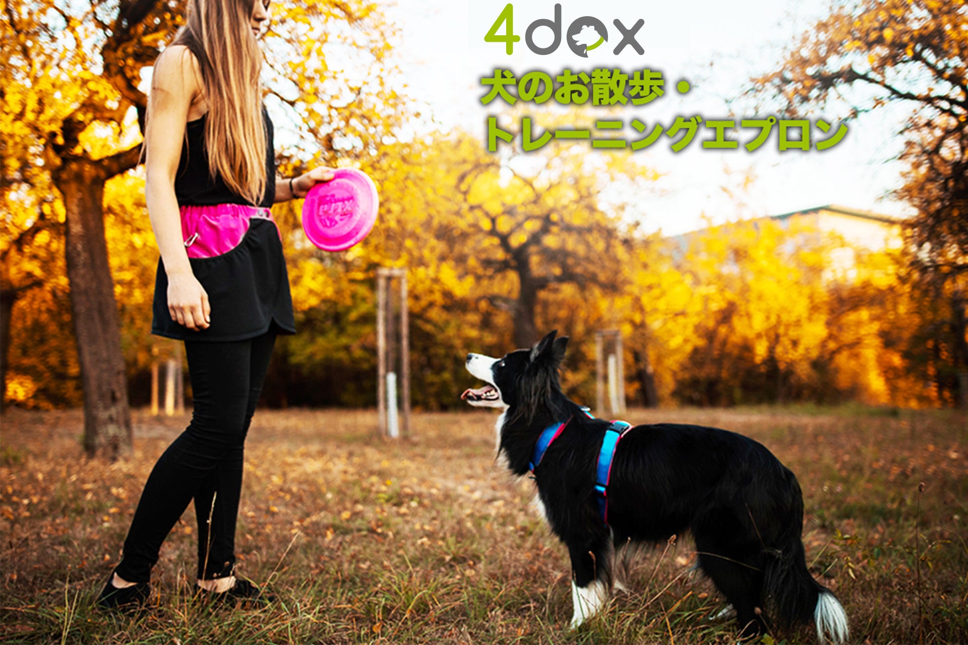 犬とのお散歩に新提案！両手も肩もフリーで着脱簡単【4dox 犬のお散歩・トレーニングエプロン】Makuake大好評先行発売中のサブ画像2