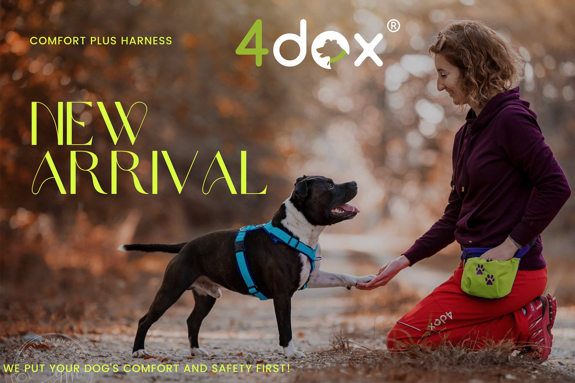 犬とのお散歩に新提案！両手も肩もフリーで着脱簡単【4dox 犬のお散歩・トレーニングエプロン】Makuake大好評先行発売中のサブ画像4