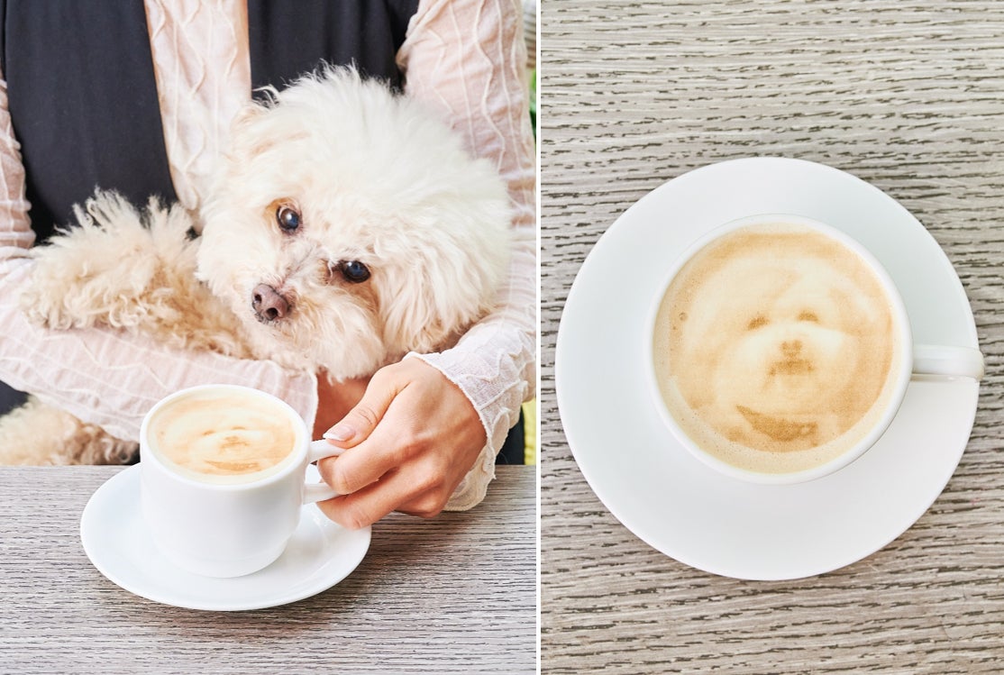 平日テラス限定！愛犬の写真がプリントされたカフェラテ付「ドッグウェルカムプラン」が新登場のサブ画像2_「愛犬フォトラテ」（イメージ）