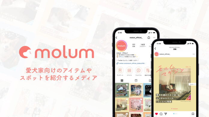 インターペット2023東京に、Instagramで愛犬家向けのアイテムやスポットを紹介するmolum[ モルム ] が初出展。のメイン画像
