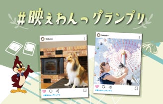 ～愛犬との思い出を撮影して、豪華賞品をゲットしよう！～フォトコンテスト「＃映えわんっグランプリ」を開催！のサブ画像1