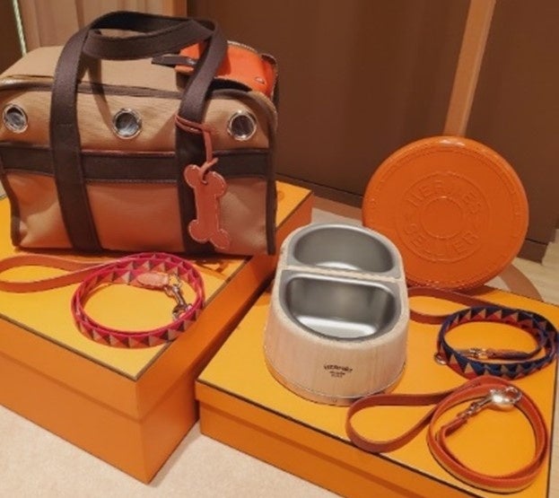 ～愛犬との思い出を撮影して、豪華賞品をゲットしよう！～フォトコンテスト「＃映えわんっグランプリ」を開催！のサブ画像2