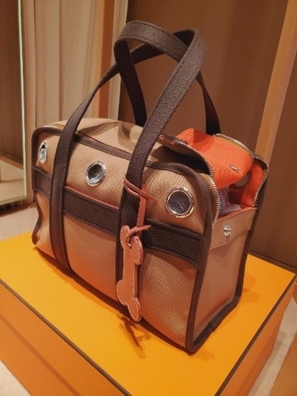 ～愛犬との思い出を撮影して、豪華賞品をゲットしよう！～フォトコンテスト「＃映えわんっグランプリ」を開催！のサブ画像3