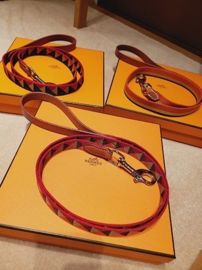 ～愛犬との思い出を撮影して、豪華賞品をゲットしよう！～フォトコンテスト「＃映えわんっグランプリ」を開催！のサブ画像6