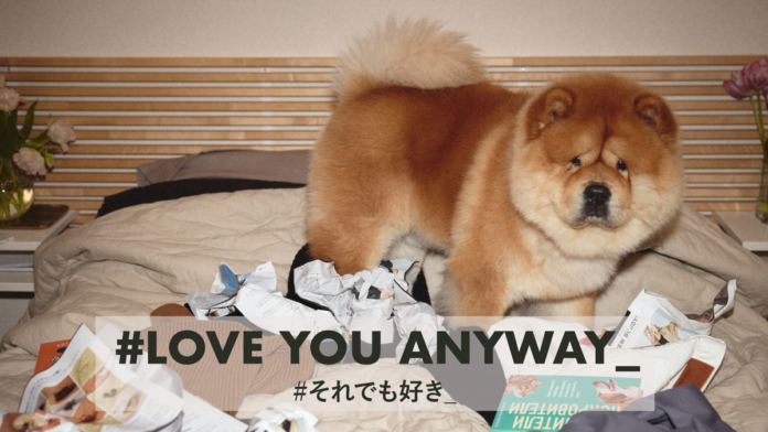 ペットの飼育放棄がない未来を目指して「LOVE YOU ANYWAY_プロジェクト」始動！あなたの投稿が保護犬施設への寄付につながるのメイン画像