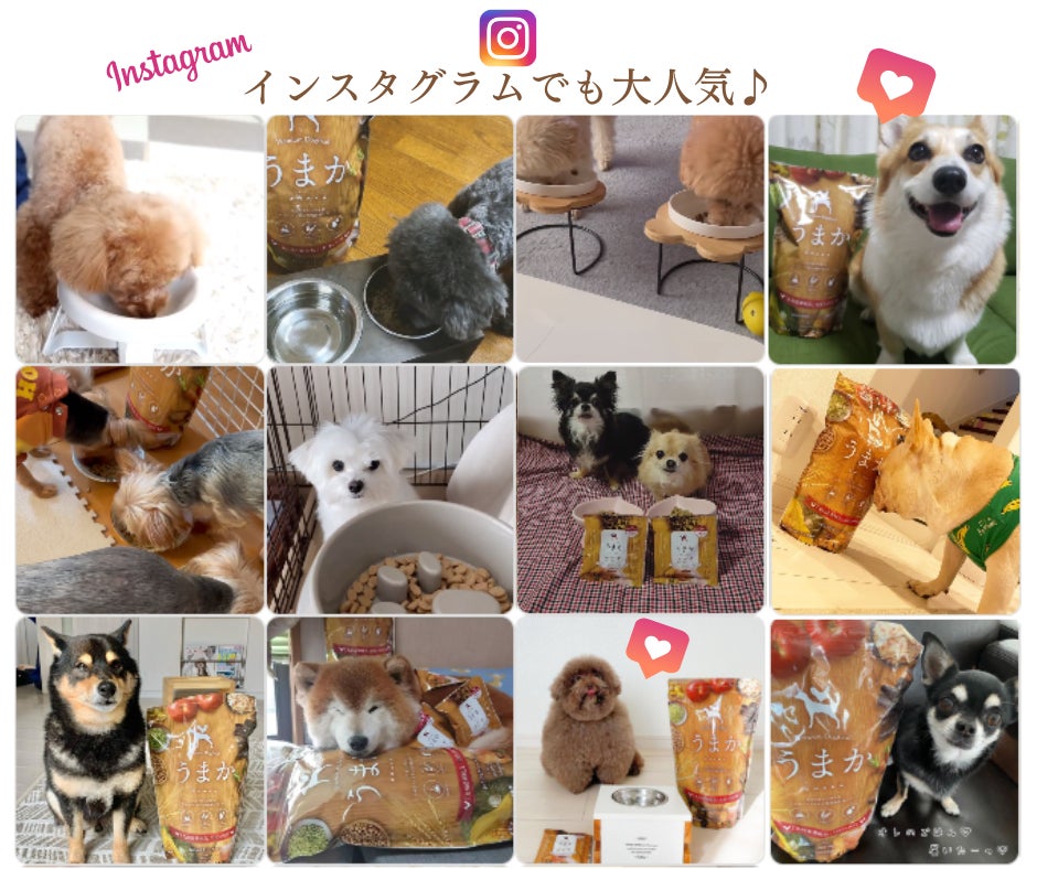 おかげさまで累計1700万食突破！「博多華味鳥」が手掛ける【うまかドッグフード】売れ続けるには理由があります！のサブ画像10