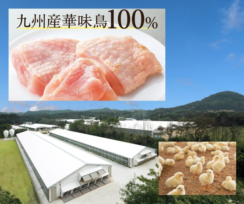 おかげさまで累計1700万食突破！「博多華味鳥」が手掛ける【うまかドッグフード】売れ続けるには理由があります！のサブ画像2