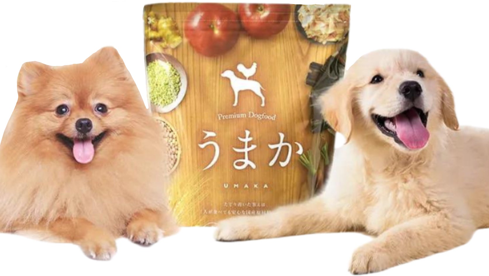 おかげさまで累計1700万食突破！「博多華味鳥」が手掛ける【うまかドッグフード】売れ続けるには理由があります！のサブ画像7