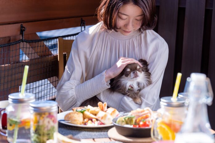 ドッグコテージリニューアルオープン那須高原を臨むテラスで愛犬と一緒にアウトドアご飯を楽しむ宿泊プラン「Terrace Dining Stay with Dog」を発売のメイン画像