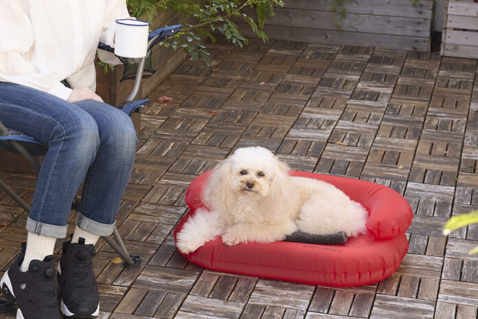 【新商品】どこでもマイベッド「犬用エアベッド」発売！のメイン画像