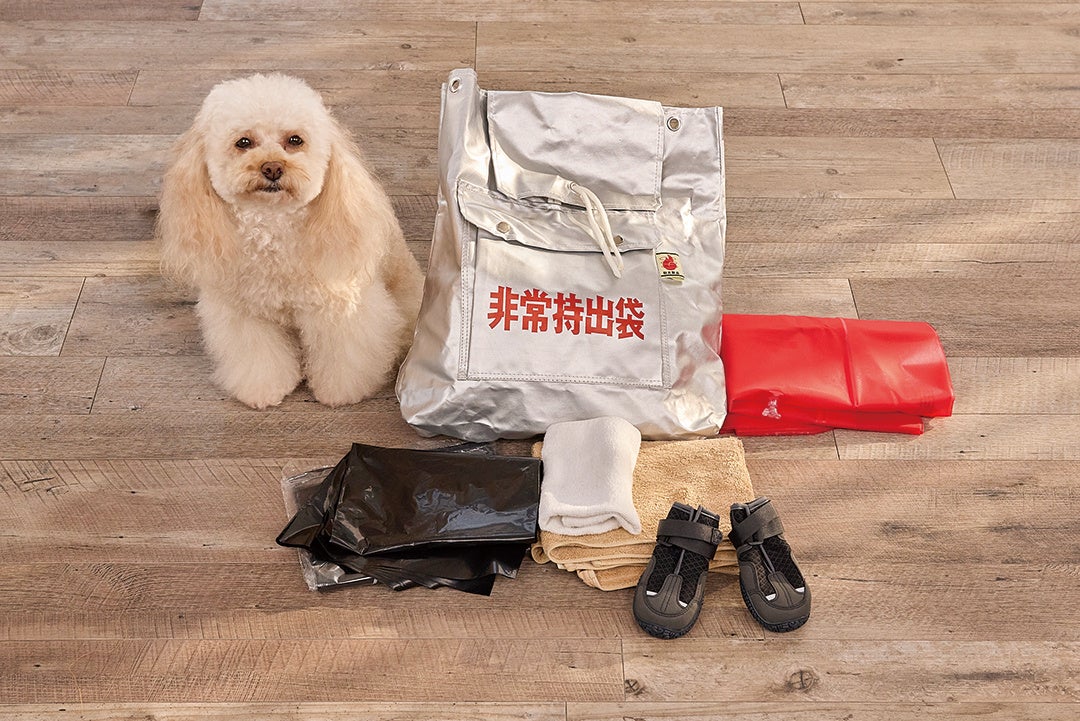 【新商品】どこでもマイベッド「犬用エアベッド」発売！のサブ画像4