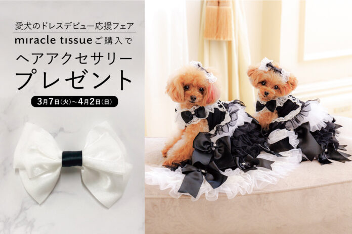 犬用変身ドレスブランド「ミミーメリー」対象商品ご購入でヘアアクセサリーをプレゼントする愛犬のドレスデビューフェアを開催のメイン画像