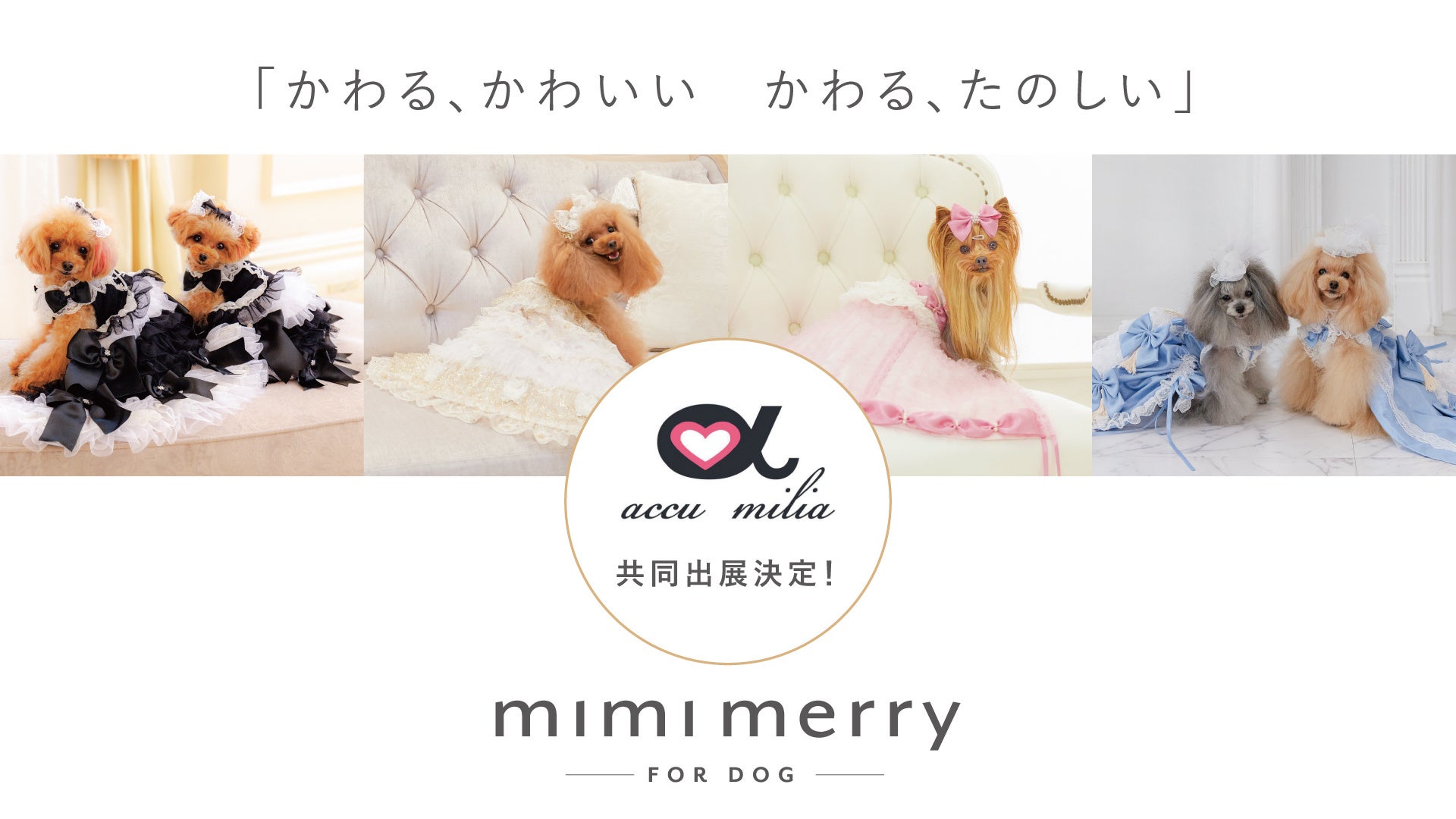 【ペットアドバンス】今年も見逃せない企画を用意してインターペット東京2023に出展！のサブ画像2