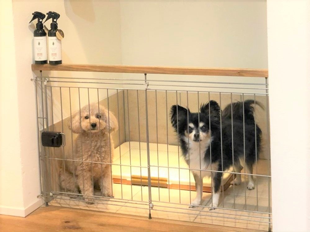 【千葉県柏市 おうちSDGsプロジェクト 第4弾】集まれ愛犬＆愛猫家！可愛いうちの子の健康と長生きを願うオシャレなおうち「わんわんにゃんにゃんリフォーム」のサブ画像4_ペットスペース