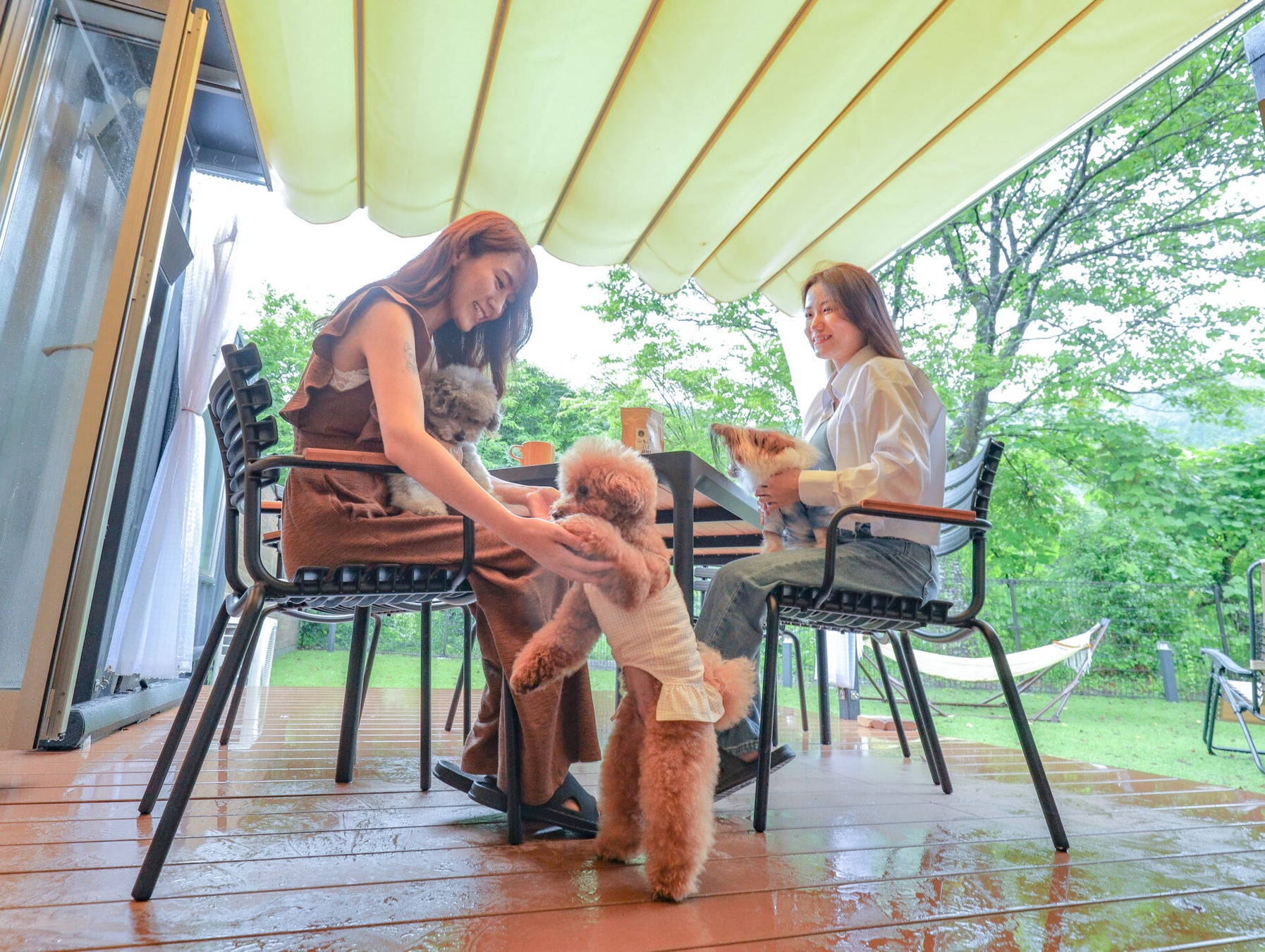 愛犬と宿泊するお客様に、和歌山産の鹿肉ジビエジャーキーをプレゼント！5月13日の「愛犬の日」に、熊野古道のコンテナホテルがキャンペーン実施のサブ画像3