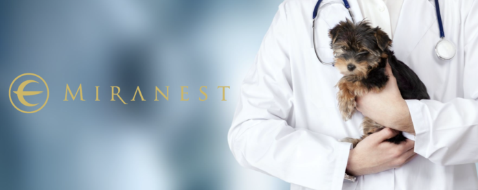 ツバメの巣のペットケアブランド「MIRANEST」が麻布大学との共同研究を開始！のメイン画像
