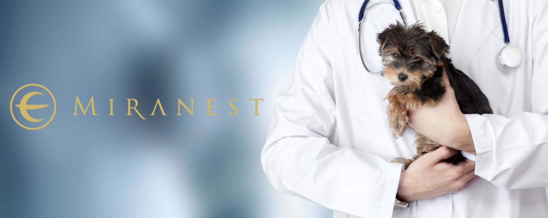 ツバメの巣のペットケアブランド「MIRANEST」が麻布大学との共同研究を開始！のサブ画像1