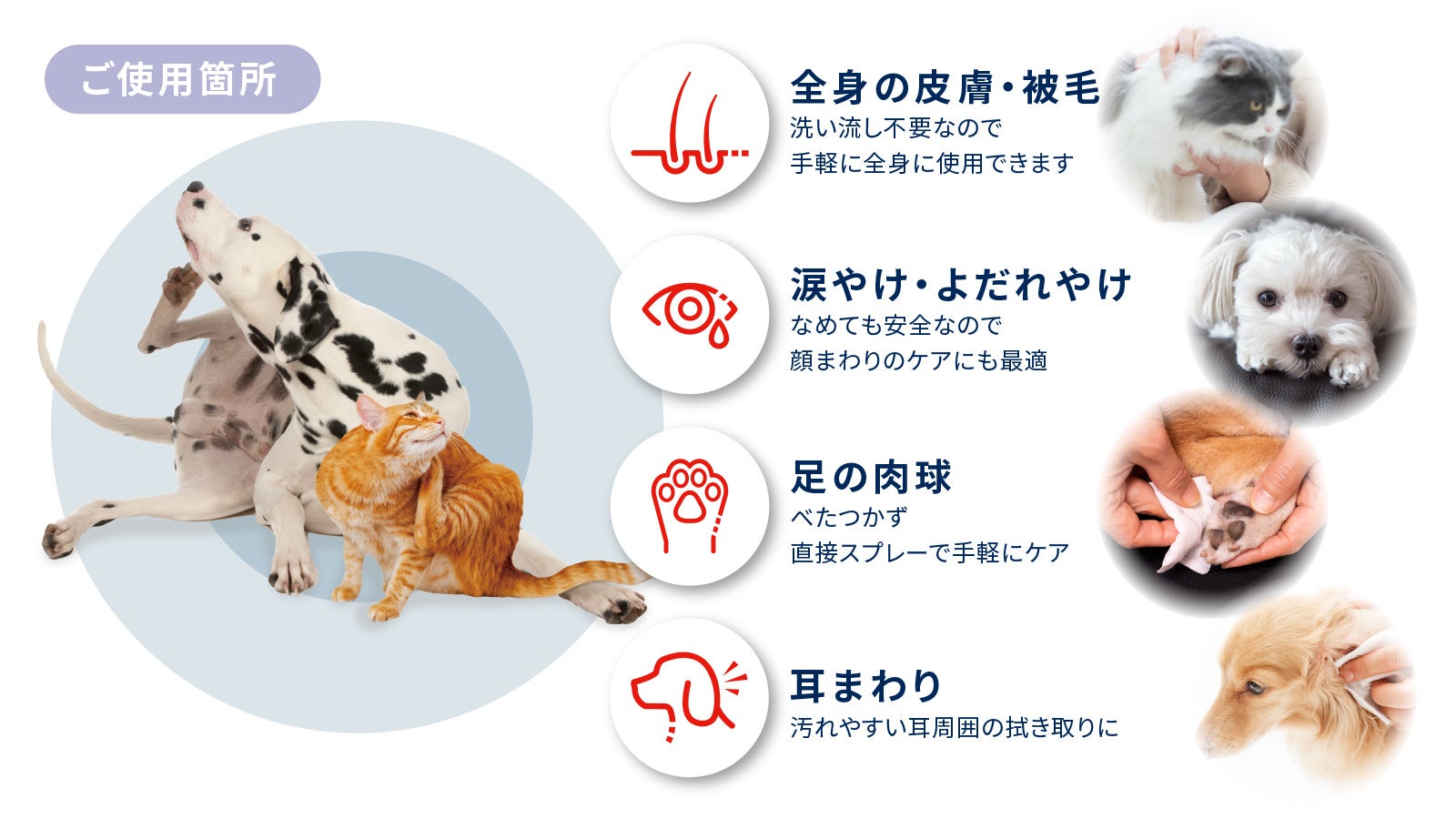 動物病院取扱いNo.1 *のペット用サプリメント「アンチノール®」ブランドから犬猫用のスキンケアスプレー「アンチノール®︎ スキン」が新登場のサブ画像3