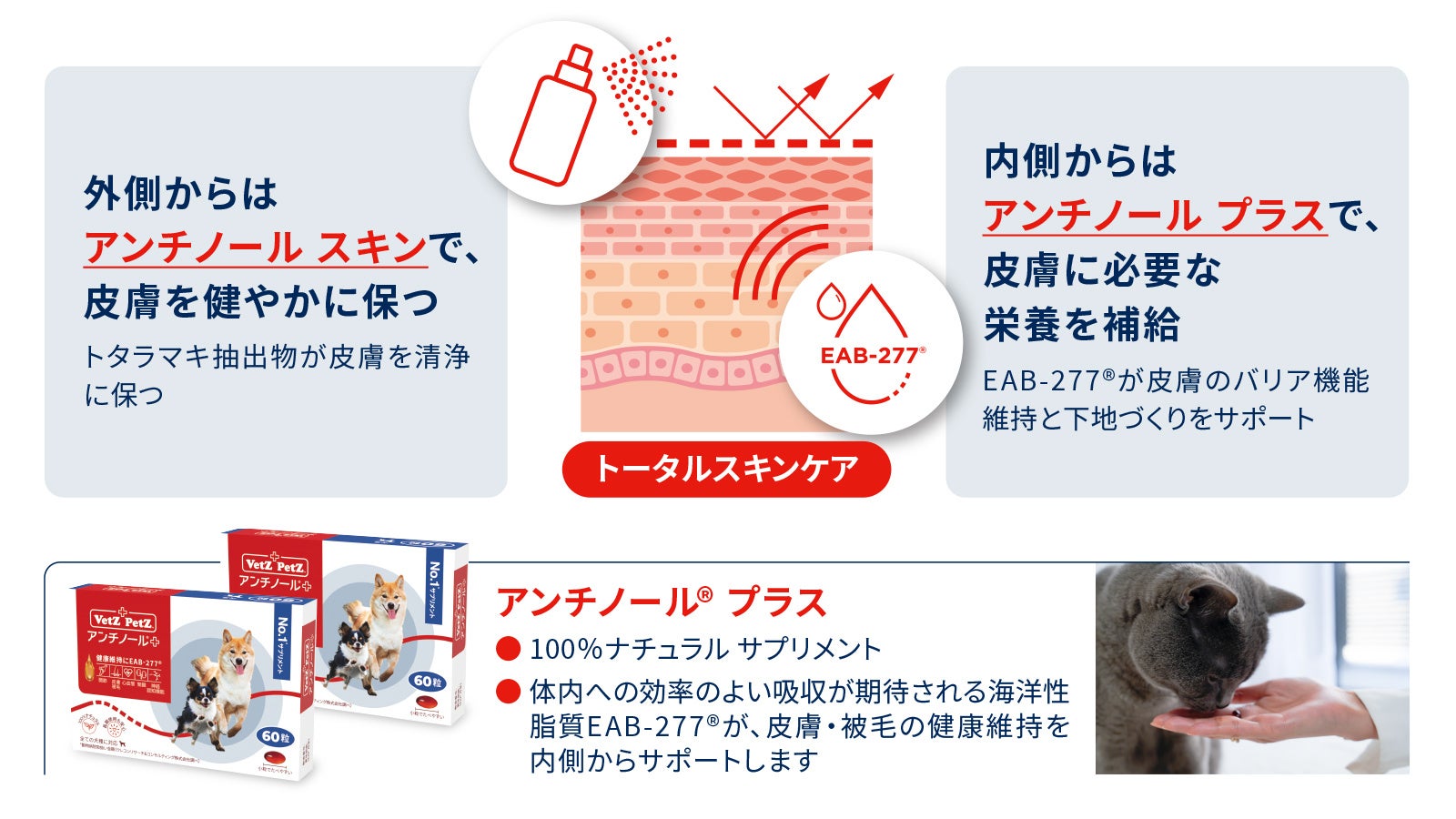 動物病院取扱いNo.1 *のペット用サプリメント「アンチノール®」ブランドから犬猫用のスキンケアスプレー「アンチノール®︎ スキン」が新登場のサブ画像6