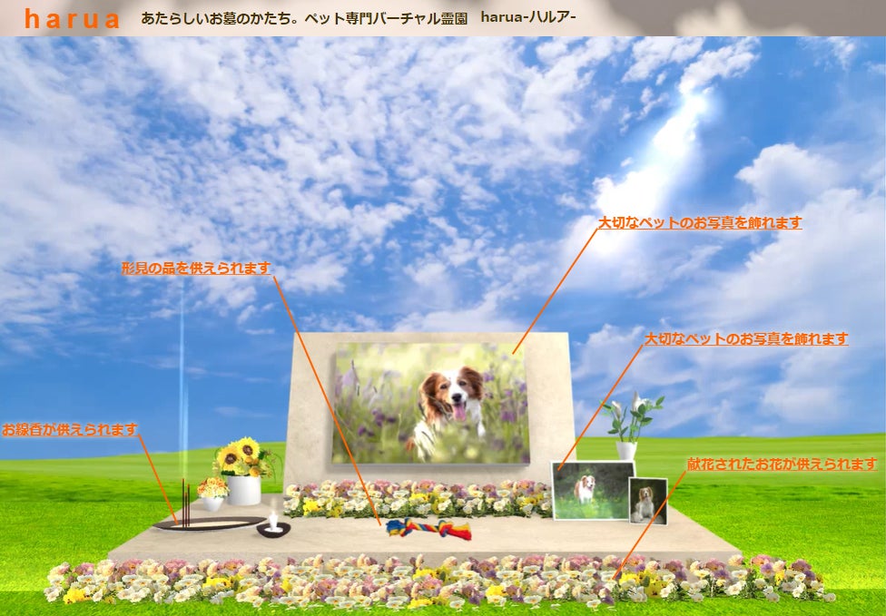 ペットに特化した新しいバーチャル霊園サービス「 harua 」が正式リリースのサブ画像3