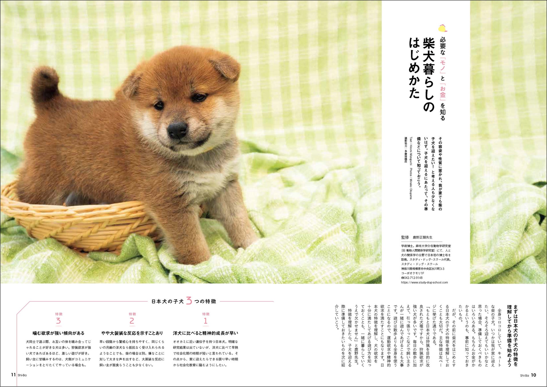 愛犬のためにかけている「お金」一体いくら？ まわりに聞きにくいお財布事情を取材した日本犬専門誌『Shi-Ba【シーバ】』最新号Vol.127が好評発売中のサブ画像3