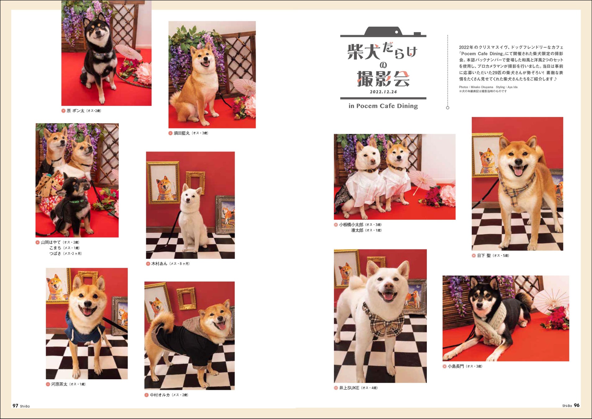 愛犬のためにかけている「お金」一体いくら？ まわりに聞きにくいお財布事情を取材した日本犬専門誌『Shi-Ba【シーバ】』最新号Vol.127が好評発売中のサブ画像7