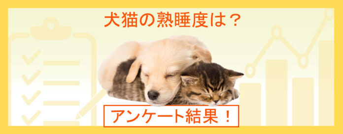 犬や猫の寝方から熟睡度がわかる？ペットの睡眠事情を調査！『ペット保険比較のピクシー』のメイン画像