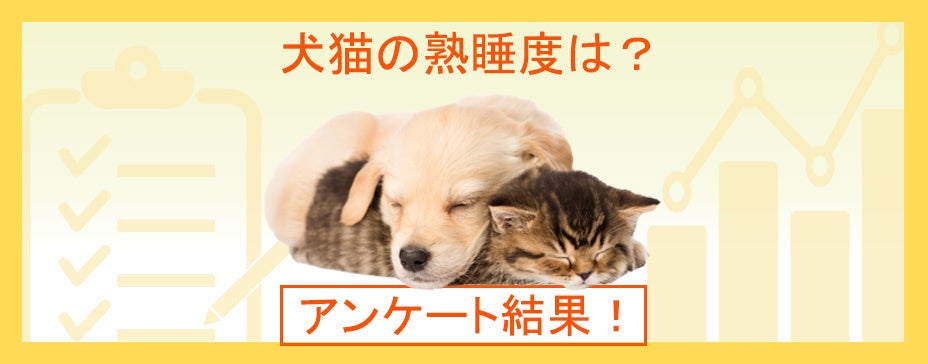 犬や猫の寝方から熟睡度がわかる？ペットの睡眠事情を調査！『ペット保険比較のピクシー』のサブ画像1