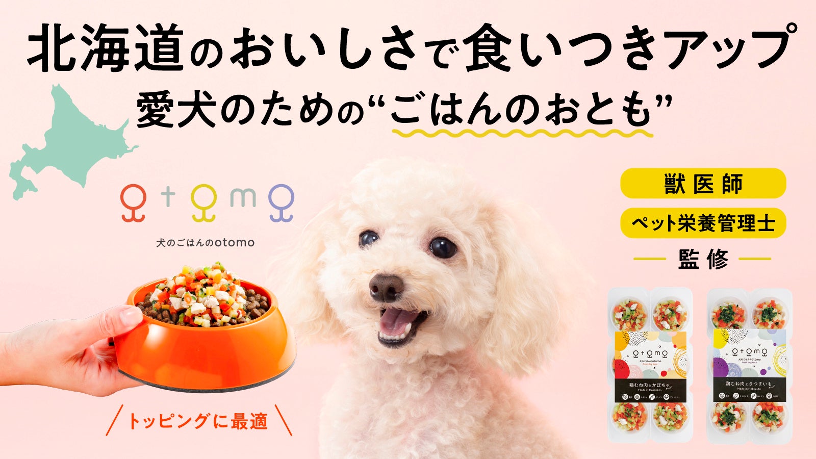 愛犬の食べない悩みを、北海道の自然の味で解決！ ワンちゃん専用の冷凍お惣菜「犬のごはんのotomo」のサブ画像1