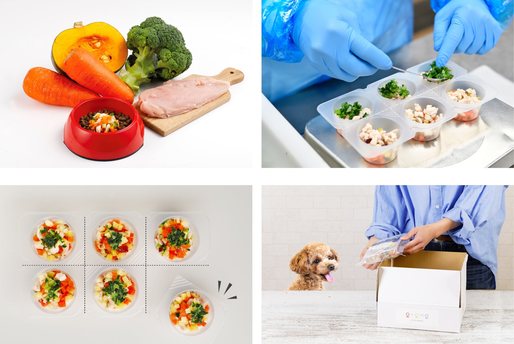 愛犬の食べない悩みを、北海道の自然の味で解決！ ワンちゃん専用の冷凍お惣菜「犬のごはんのotomo」のサブ画像3