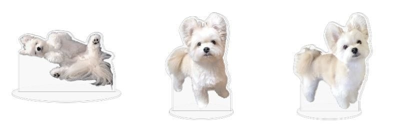 【ぽんた×ヴィレッジヴァンガード】～コラボグッズ発売決定！！～のサブ画像4