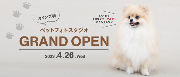 カインズ初！ペット専門フォトスタジオOPENのメイン画像