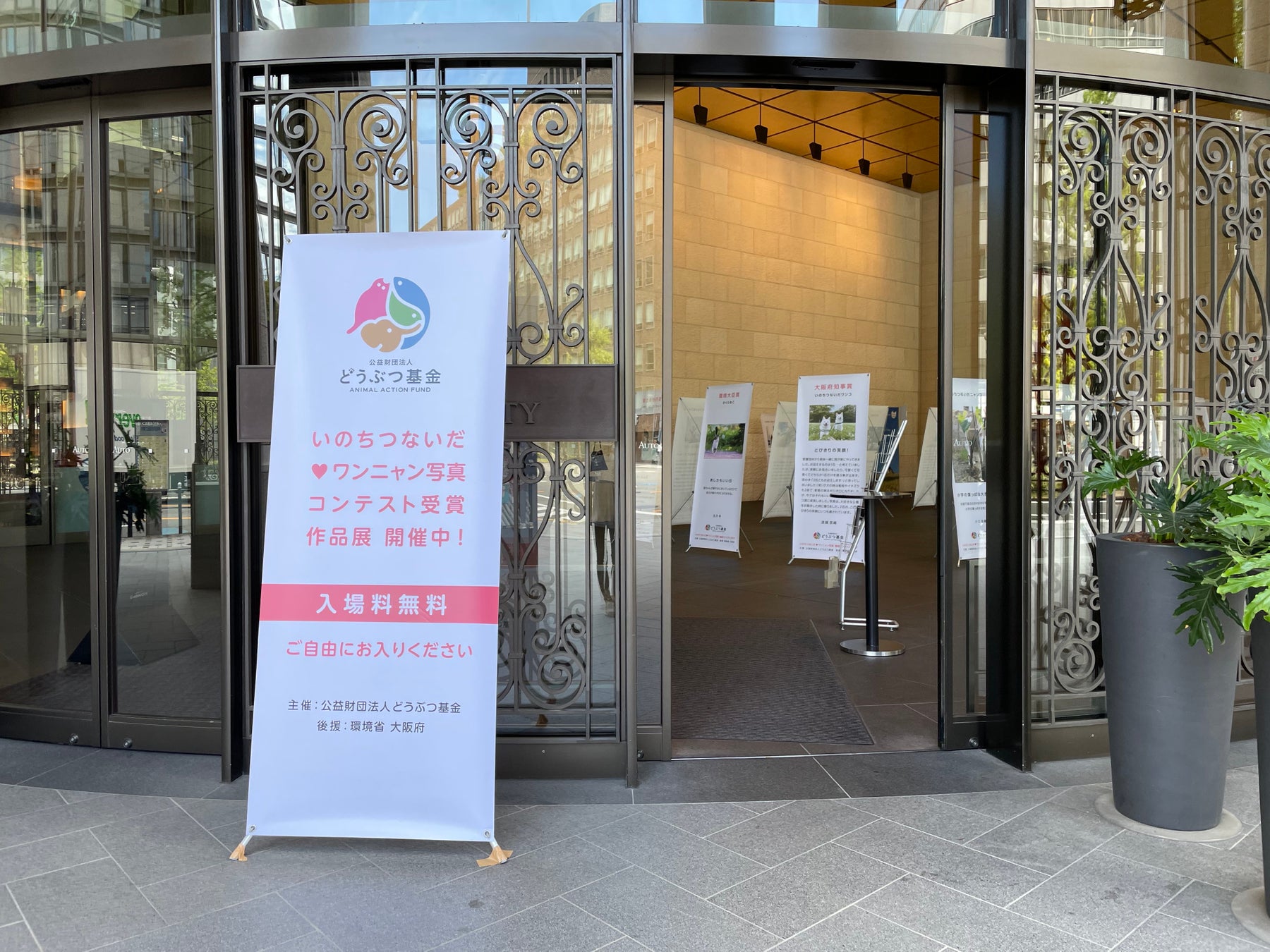 第14回 いのちつないだワンニャン写真動画コンテスト、作品募集スタート！のサブ画像2