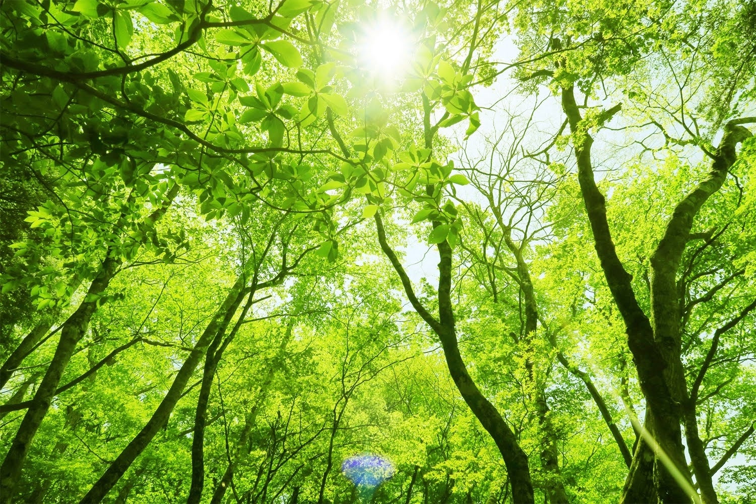 ＜2023年4月掲載開始＞200㎡を超えるプライベートドッグラン付きドッグヴィラ「恵那プライベートドッグヴィラ」ペットと泊まれる宿予約サイト『いぬやど』への参画のお知らせのサブ画像4