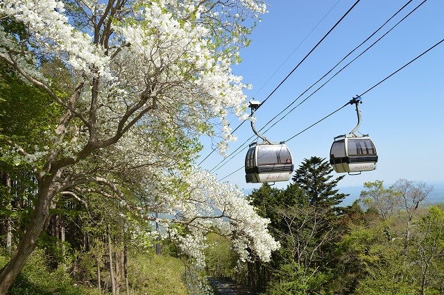 「ゴヨウツツジ　那須ゴンドラ」運行開始のお知らせのサブ画像2