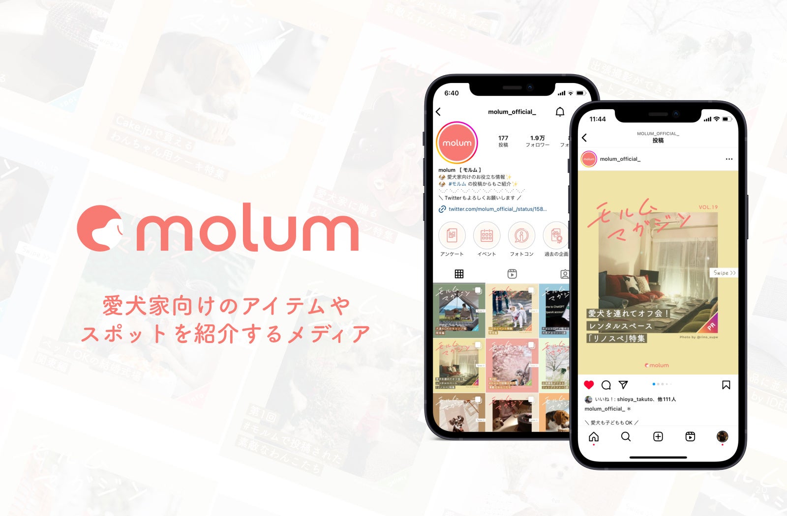 5⽉13⽇（ 愛⽝の⽇ ）にリリース！チャットで専⾨スタッフに相談も可能な「 ペット⽤品専⾨のECサイトmolum[モルム] 」のご案内のサブ画像3