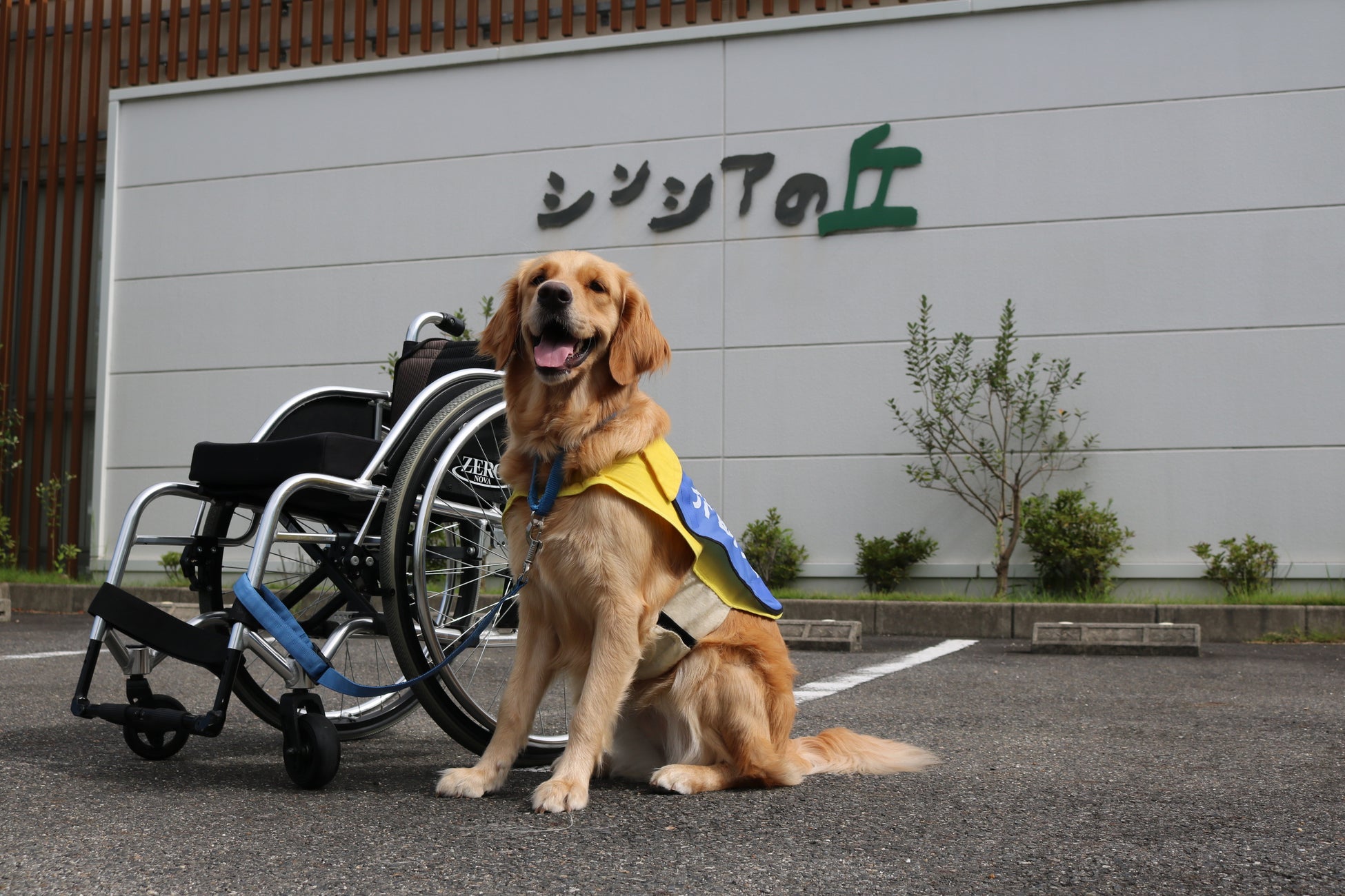 【5月7日介助犬がやってくる】水戸ホーリーホックのホームゲームに日本介助犬協会が初出展！のサブ画像1