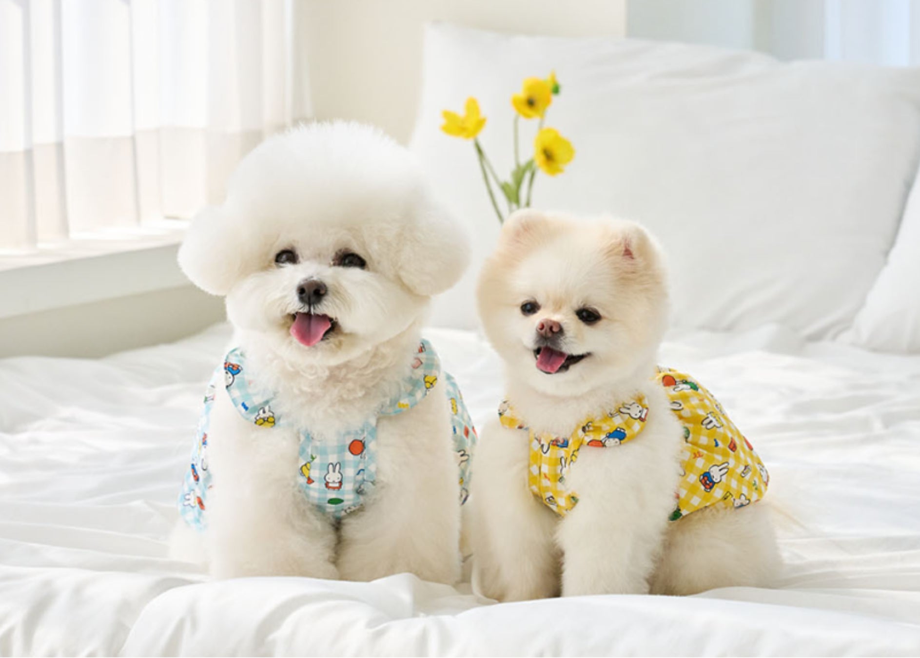 「All in gift」が、世界中から厳選した上質なドッググッズ提供する「URBAN DOG TOKYO」のオンラインショップにて採用のサブ画像2