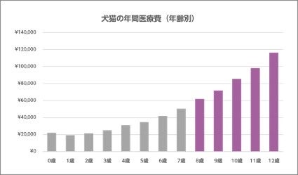 加入年齢の上限なし！「シニア専用」ペット保険を生み出したアニコム損保にインタビューしましたのサブ画像2