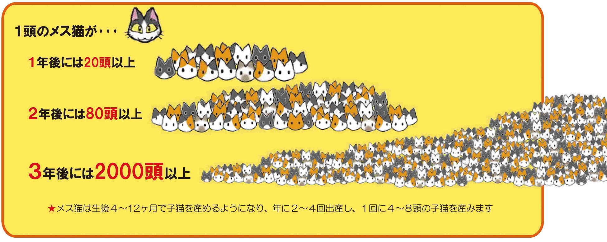「ふるなび」で、長野県佐久市が飼い主のいない猫たちの大切な命を救うことを目的としたクラウドファンディングの寄附受付を開始。のサブ画像2