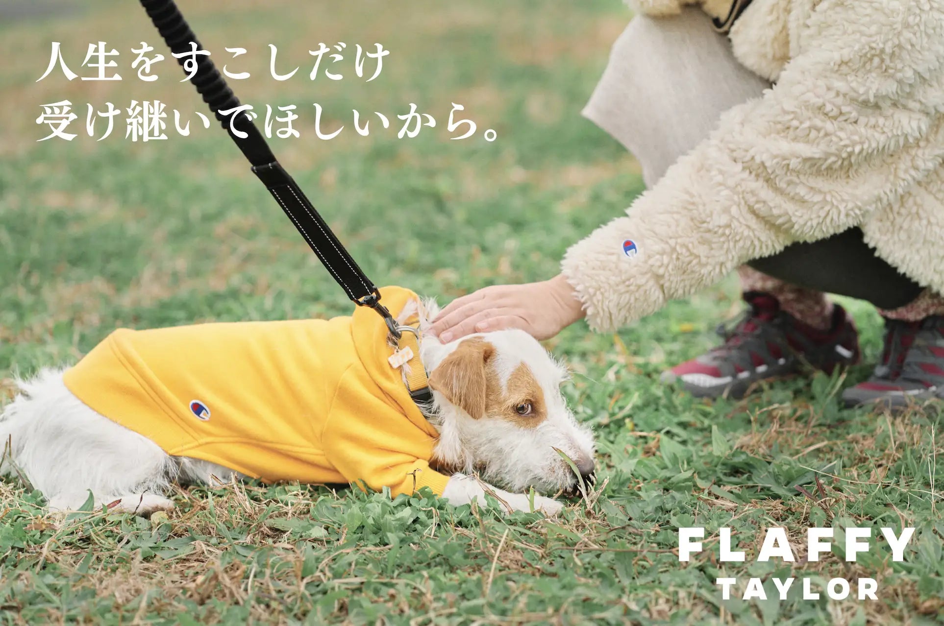株式会社FLAFFY、伊勢丹新宿店にてPOP UPを開催。人間の服を愛犬の服にリメイクする「FLAFFY TAYLOR」のオーダー承りを実施のサブ画像2