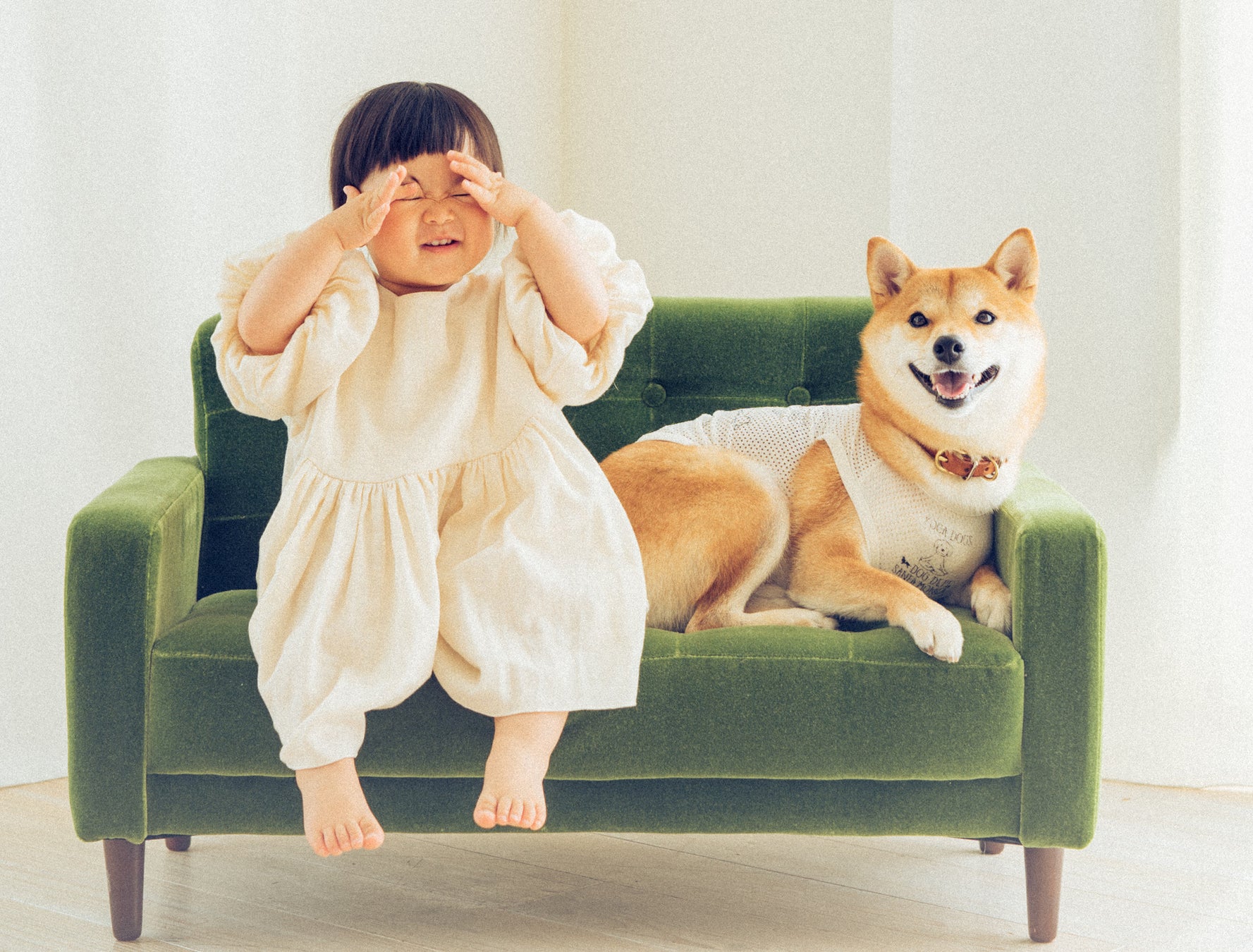 柴犬の魅力にみんなが笑顔！ 柴好きなら一度は目にしたことのある人気犬たちも登場する、柴犬専門マガジン『シバマル』が4月10日（月）発売のサブ画像4