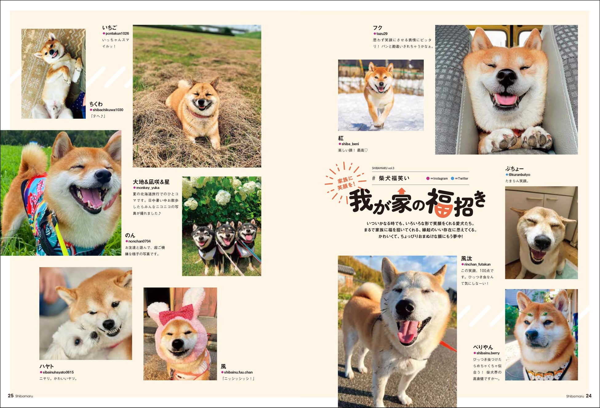 柴犬の魅力にみんなが笑顔！ 柴好きなら一度は目にしたことのある人気犬たちも登場する、柴犬専門マガジン『シバマル』が4月10日（月）発売のサブ画像8