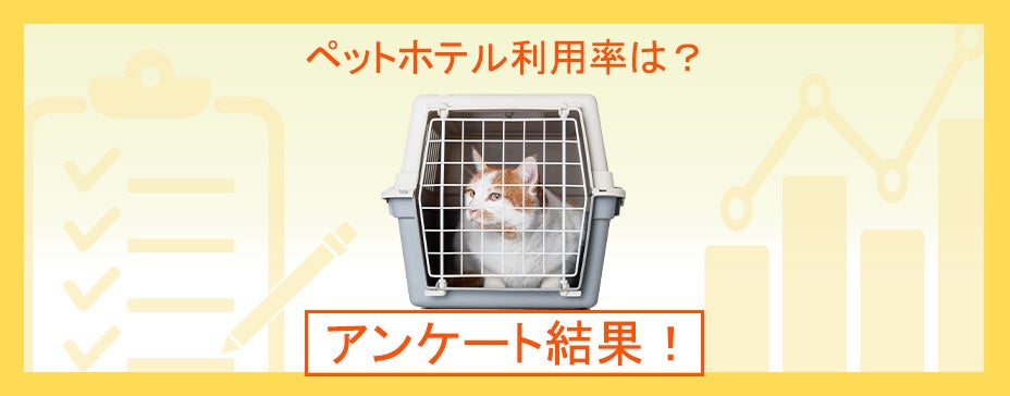 犬猫のペットホテル事情は？GW旅行中も安心して預けられるペットホテルの選び方！『ペット保険比較のピクシー』のサブ画像1