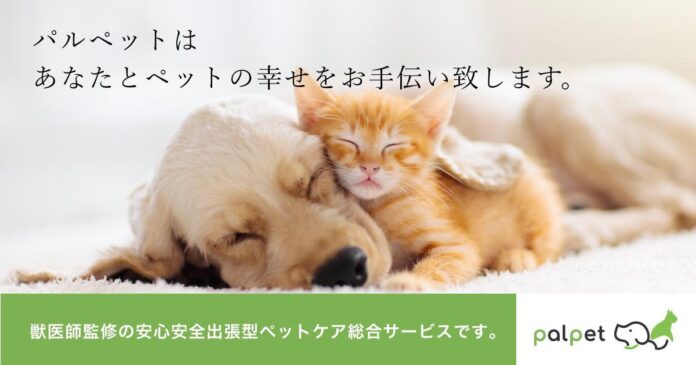 ソプラ銀座、獣医師監修の安心・安全出張型総合ペットケア「獣医師オンライン相談」正式サービス開始！のメイン画像