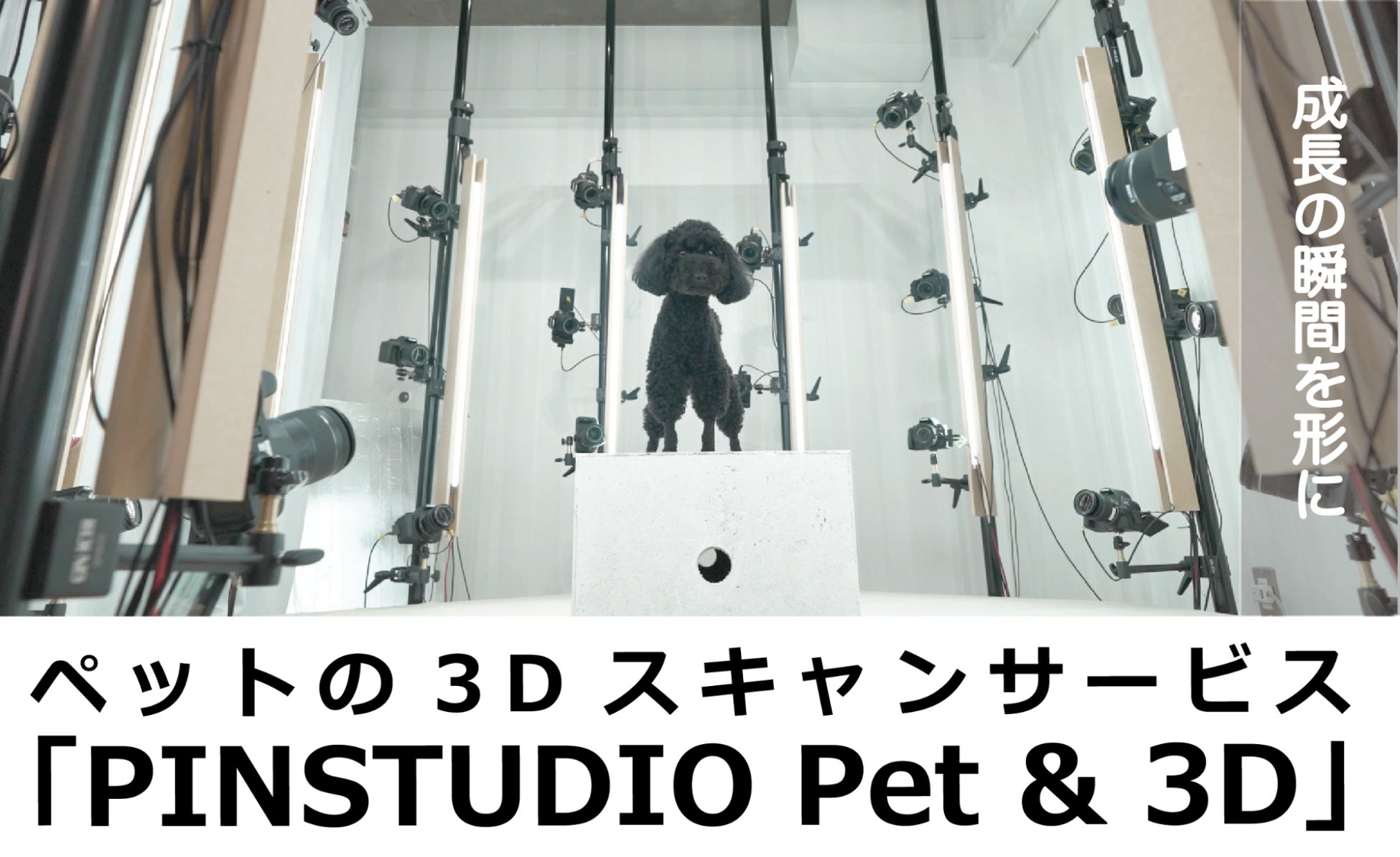 デジタルペットゲーム『LOOTaDOG』を運営するLehmanSoftと『Pet & 3D』を運営するPINSTUDIO Pet & Photo（有限会社ピンスタジオ）によるキャンペーン実施のお知らせのサブ画像3_ペットのスキャンサービスPINSTUDIO Pet & Photo